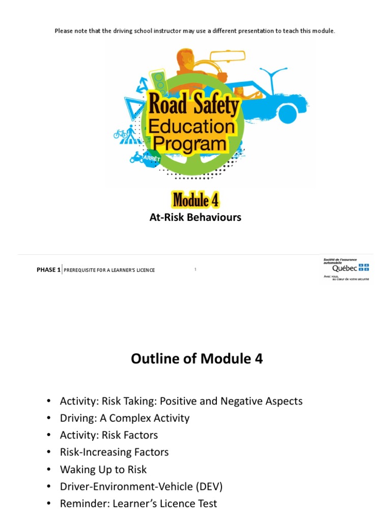 Module 4 at Risk Rehaviours | PDF