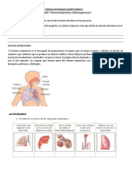 Guias Ciencias Quinto Respiratorio