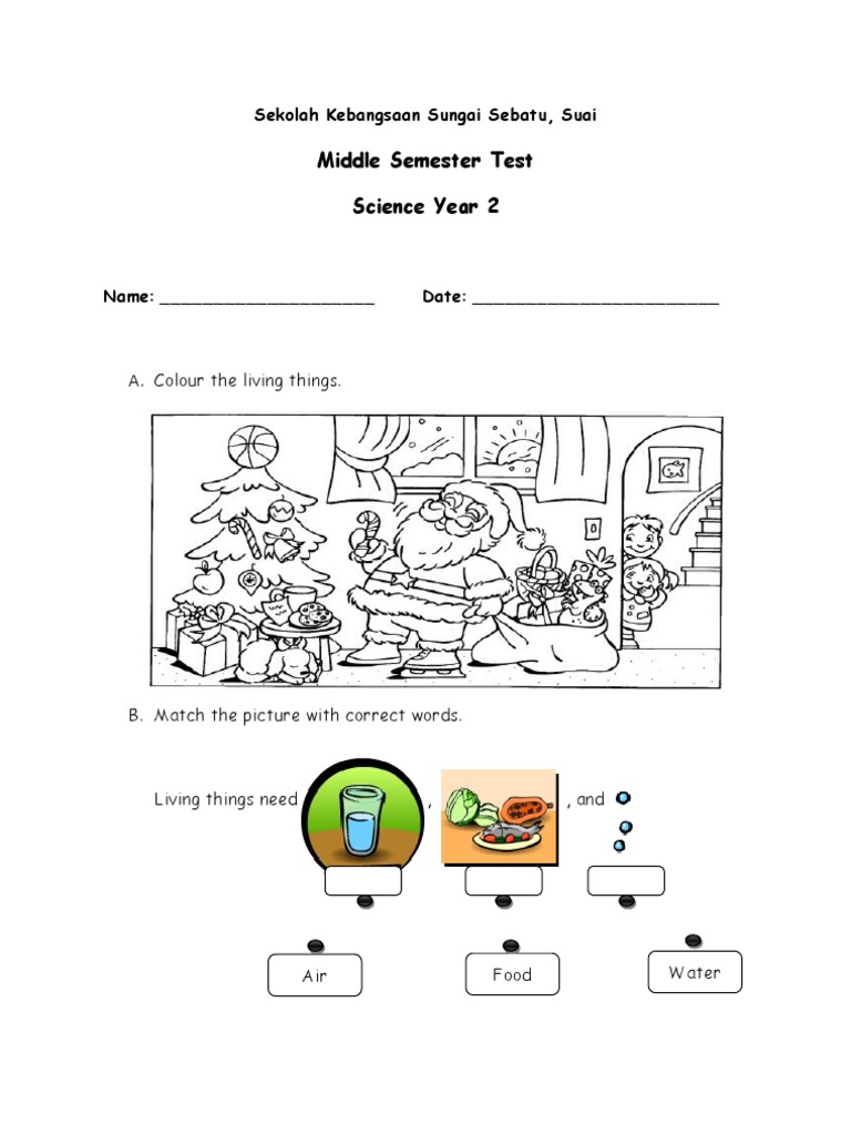 year 2 science homework