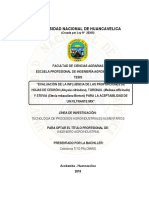 Universidad Nacional de Huancavelica: (Creada Por Ley #25265)