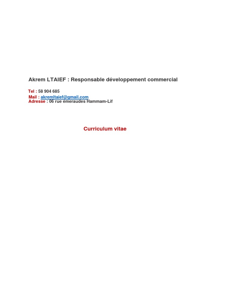 CV d'Akrem Ltaief, Responsable Commercial | PDF | Commercialisation ...