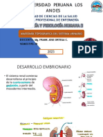 Anatomia Topografica Sist Urinario Clase 2