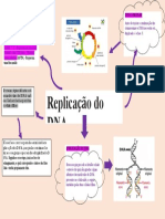 DNA polimerase no ciclo celular