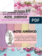 Acto Jurídico