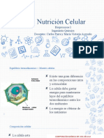 Nutrición Celular: Bioprocesos I Ingeniería Química Docentes: Carlos Parra y María Victoria Acevedo