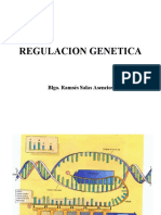Regulacion Genetica