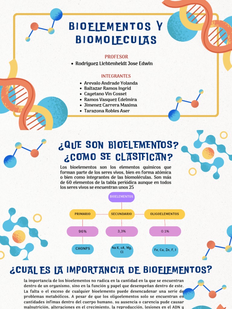 Bioelementos Y Biomoleculas: Rodriguez Lichtenheldt Jose Edwin | PDF ...
