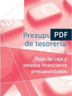 Capitulo Presupuesto de Tesoreria