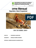 Informe Mensual DICIEMBRE 2019 AGROVIDA