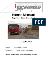 Informe Mensual Julio 2019