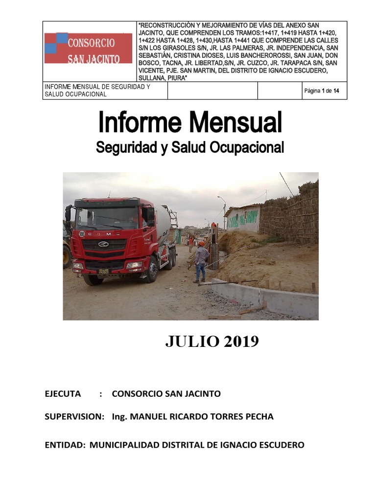 Informe Mensual Julio 2019 | PDF | Seguridad y salud ocupacional ...