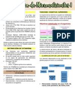 Historia Funciones Cognitivas Superiores: Clasificación de Las Vitaminas