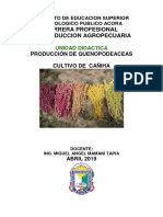 Carrera Profesional de Produccion Agropecuaria: Producción de Quenopodeaceas Cultivo de Cañiha