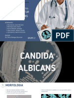 Hongos No Dermatofitos:: Malassezia Furfur Candida Albicans