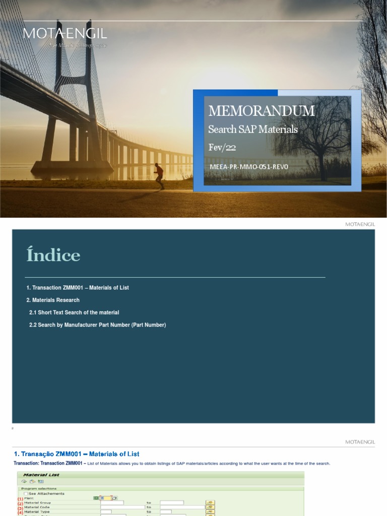 SAP Material Search Guide | PDF | Technology & Engineering