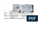 Evaluation of Flour