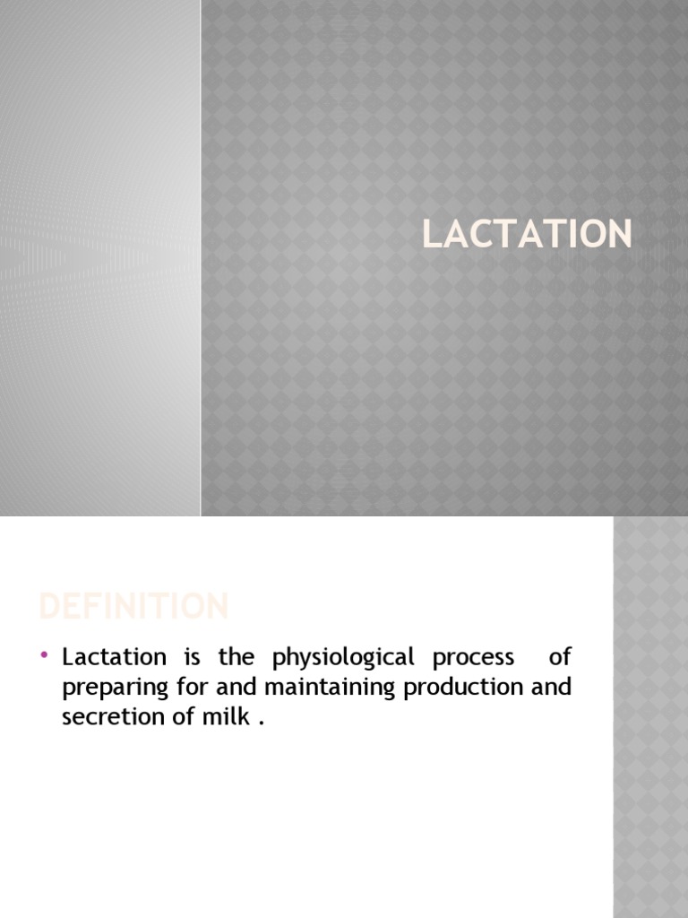 Physiology and Stages of Lactation | PDF
