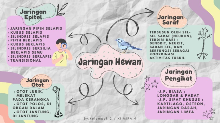 Mind Map Jaringan Hewan | PDF