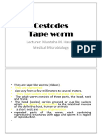 T. Parasitology Lec 4 Cestodes