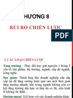 Chương 8: RủI Ro ChiếN LượC