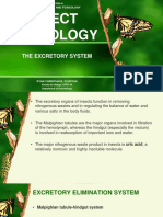 Excretory System