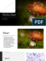 Mushrooms. The Hive Mind: Dror Epshtain