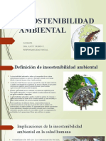 Insostenibilidad Ambiental y Social