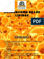 METABOLISMO DE LOS LÍPIDOS Dr. Cadima