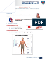 Semana 1 Anatomia Funcional