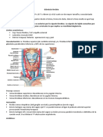 Fisiologia Tiroides