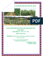 Feasiblity Study For Mproved Maize Seed Production Project