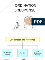 14.coordination and Response