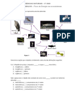 Ficha de Trabalho 1