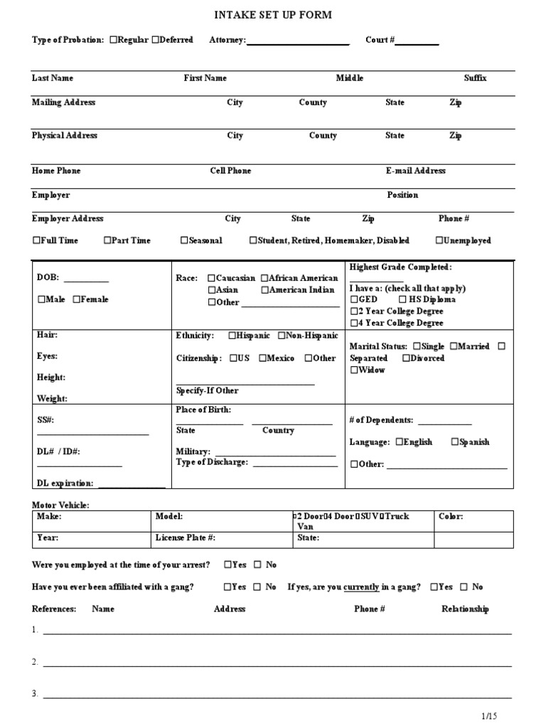 Probation Client Intake Form | PDF