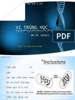 Microb 222 - Bacteria P3