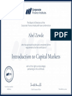 Abel Zewde Abel Zewde: Introduction To Capital Markets Introduction To Capital Markets