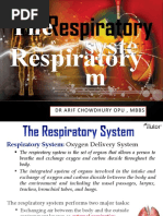 Rabbit Digestive & Respiratory Dissection Guide | PDF ...