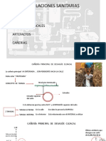 Desagüe Cloacal 2 PDF