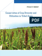 Conservation & Utilisation of Traditional Crop Diversity in Tribal Areas