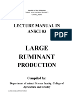 Revise Beef Cattle Manual