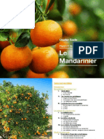Le Mandarinier: Rapport Technico-Économique