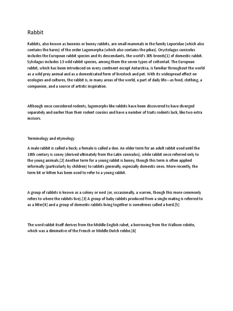 Rabbit 1 | PDF