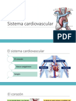 Diapositivas S. Cardiovascular