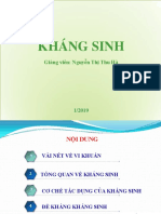 Khang sinh - pho 1. 2019