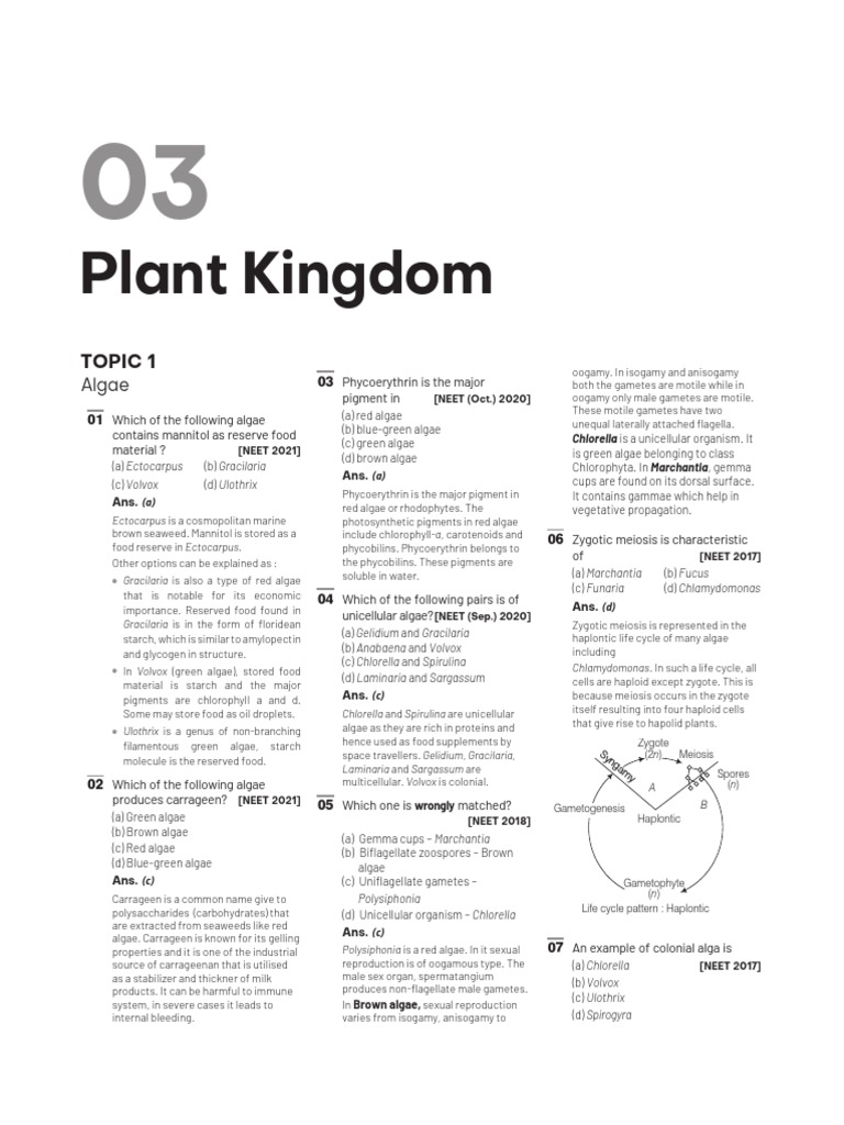 Plant Kingdom | PDF