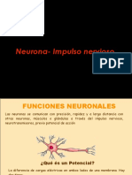 Neurona Impulso