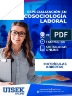 Brochure Psicosociologia Laboral