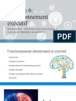Fonctionnement Exécutif: Psy3032H-H23 - Neuropsychologie Humaine Jean-Marc Therrien-Blanchet ©