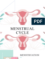 Menstrual Cycle