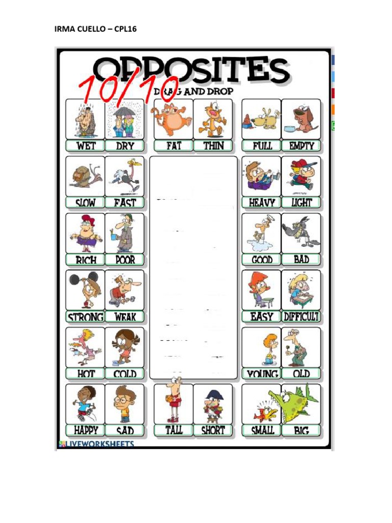 Opposite Adjectives - Activity | PDF